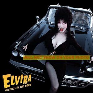 Collectible Photo Image 8x10 Of Cassandra Peters aka Elvira Mistress Of The Dark